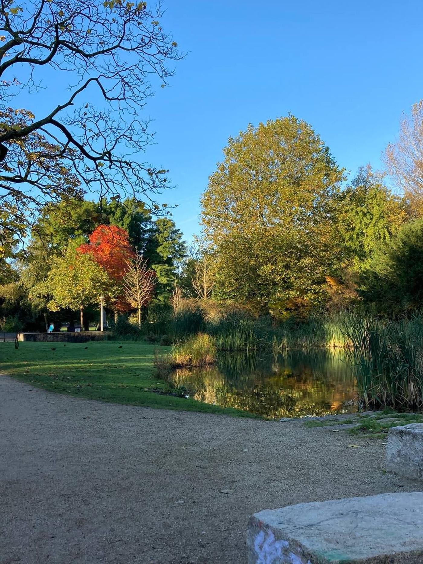 Vondelpark in autumn